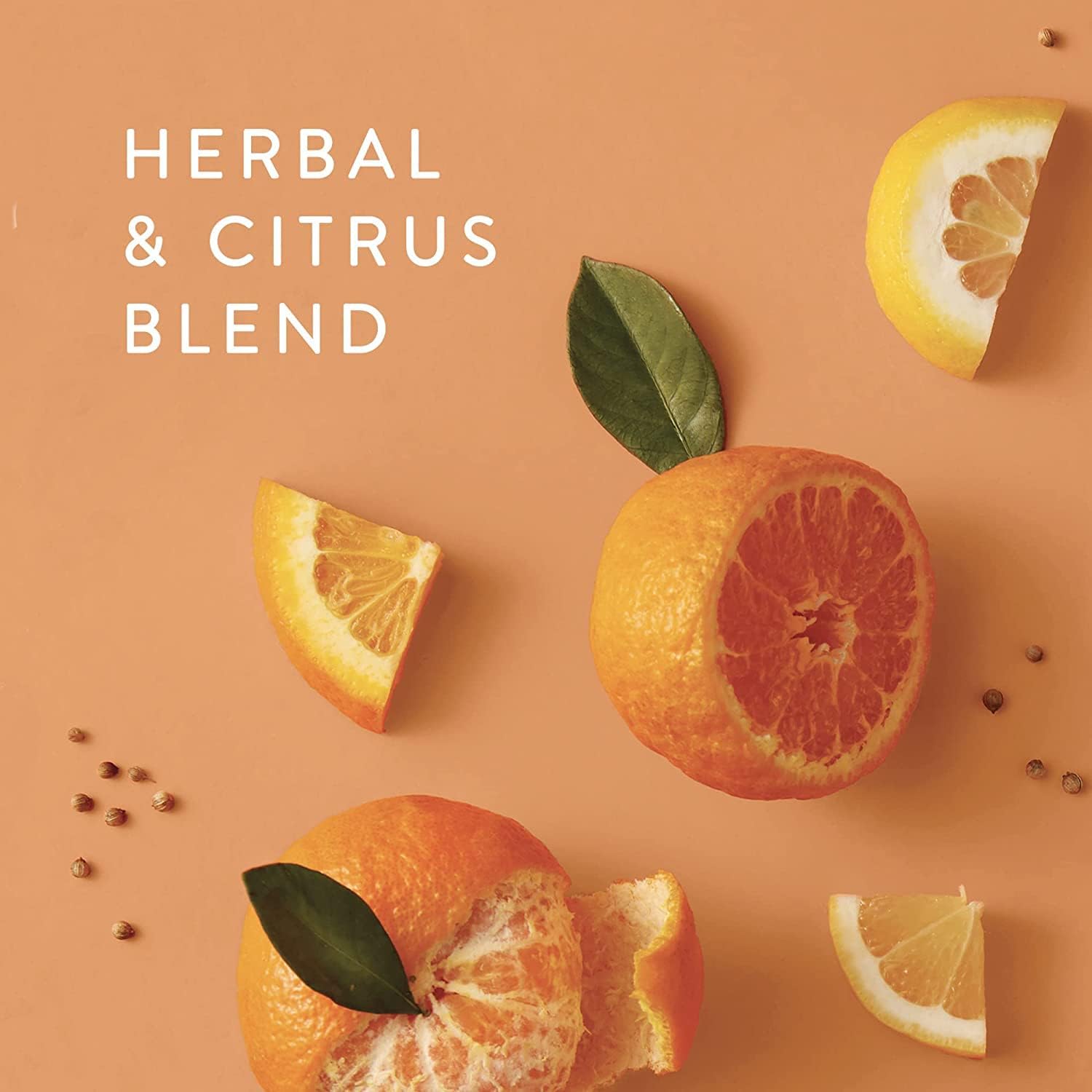 Elevate Your Space with the Mandarin Coriander Petite Reed Diffuser - 4 Fl Oz of Refreshing Aroma