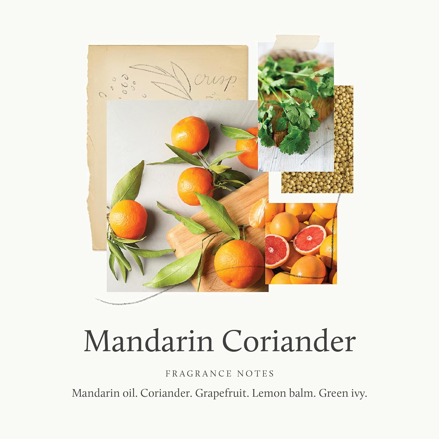 Elevate Your Space with the Mandarin Coriander Petite Reed Diffuser - 4 Fl Oz of Refreshing Aroma